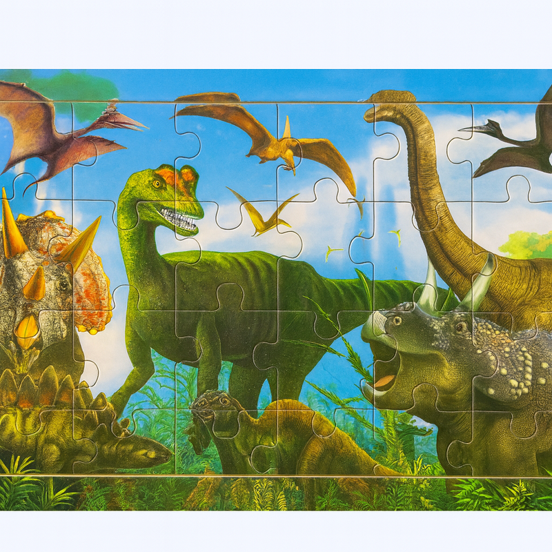 Assorted Puzzles 22 x 15