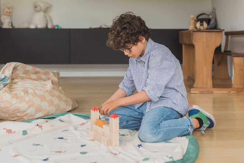 Toy Storage Bag - Dino