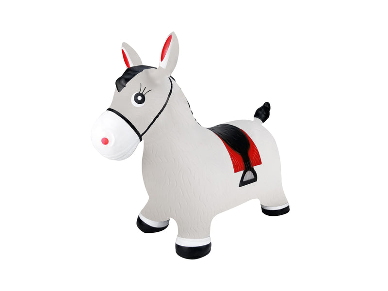 Bouncy Rider Granite the horse
