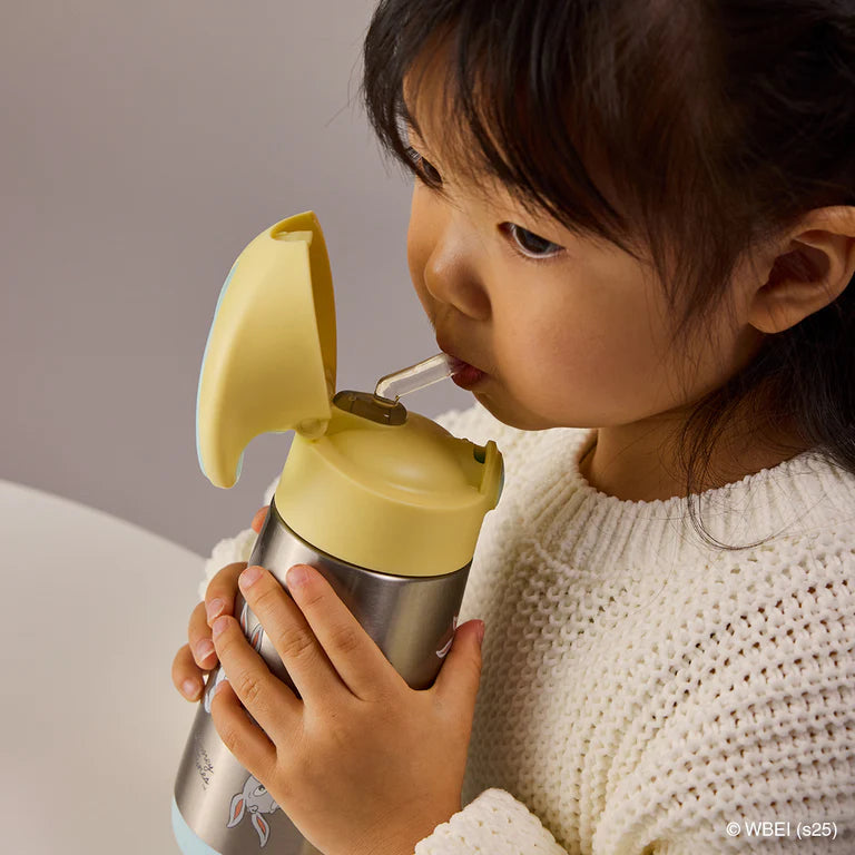 350mL Insulated Drink Bottle - Looney Tunes