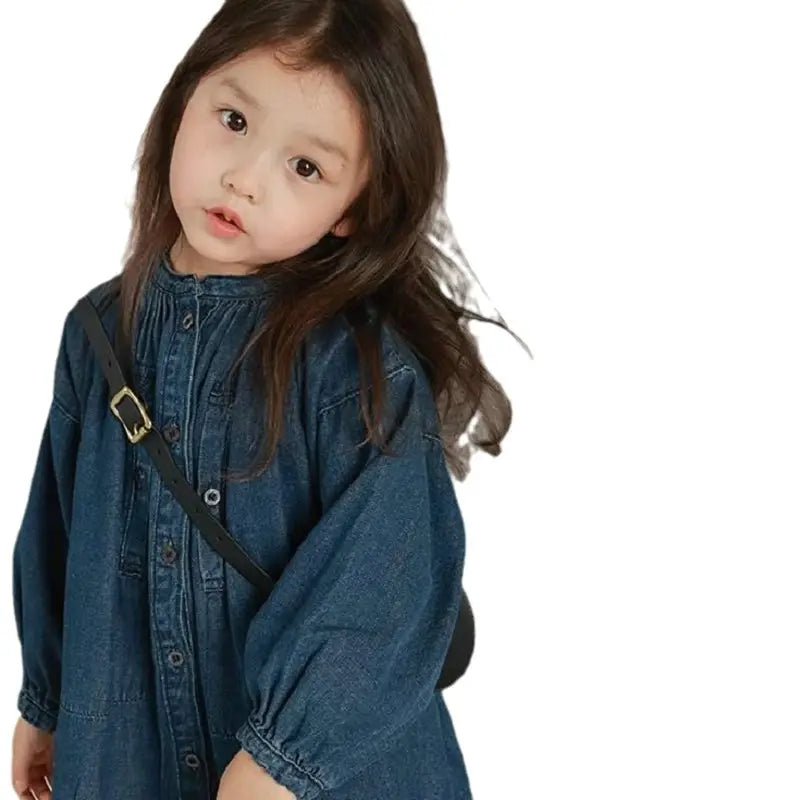Denim Swing Dress