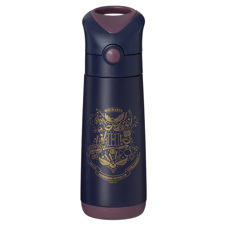 500mL Insulated Drink Bottle - Harry Potter