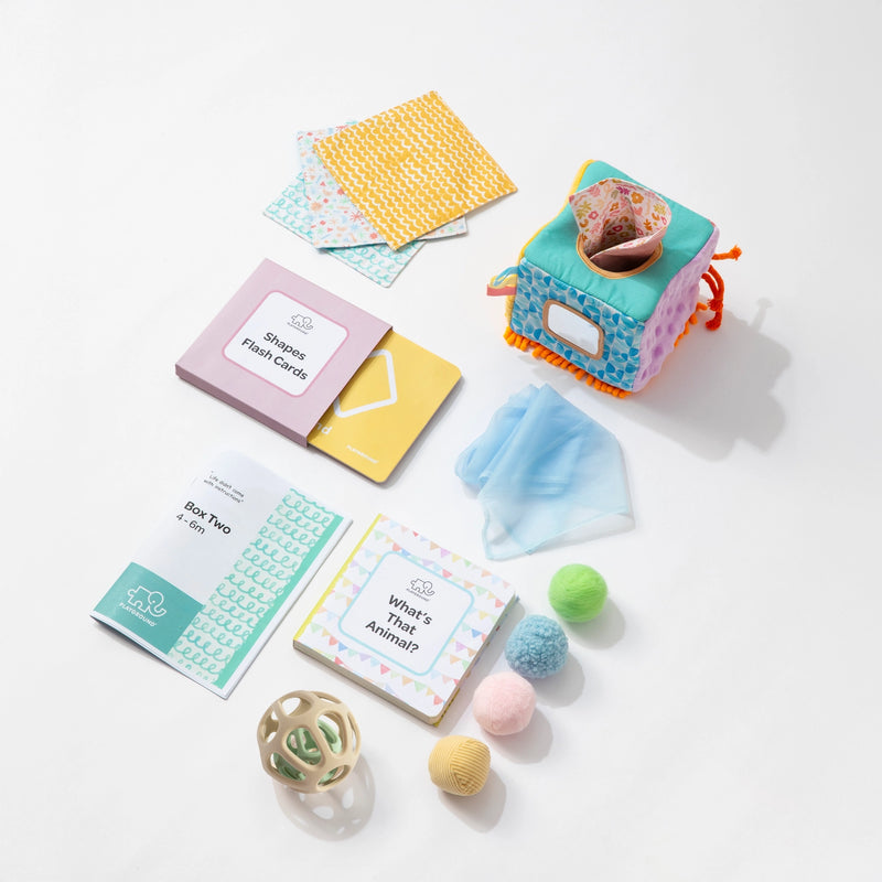 Playground Box 2: Learn & Explore (4-6M)