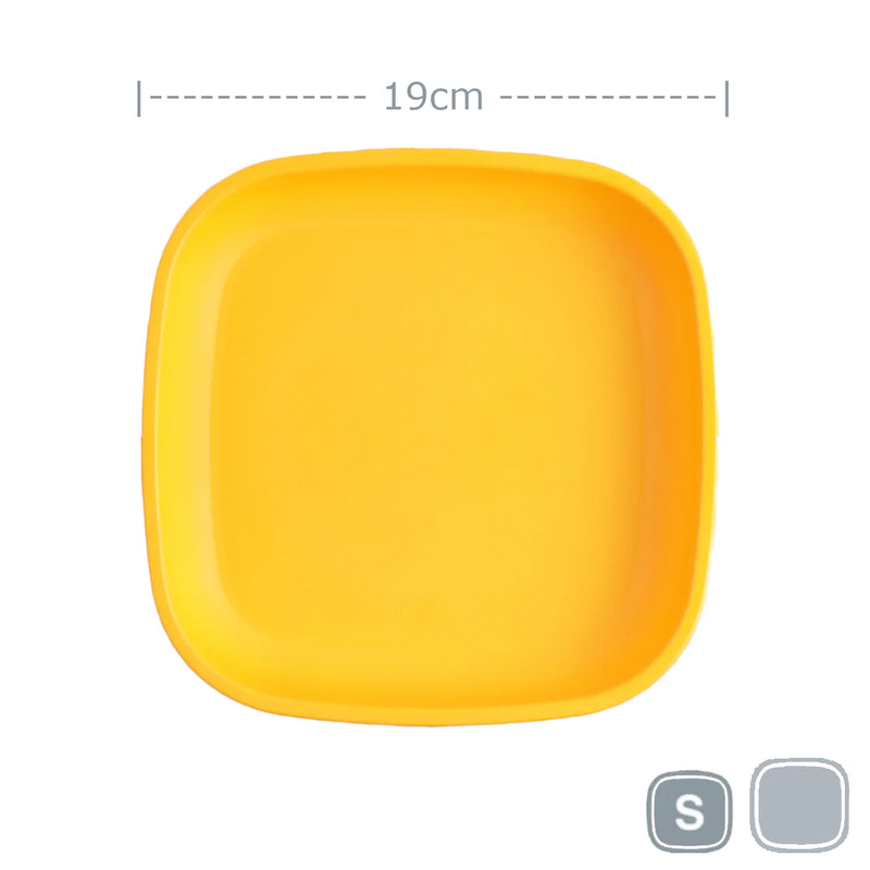 Re-Play Small Flat Plate