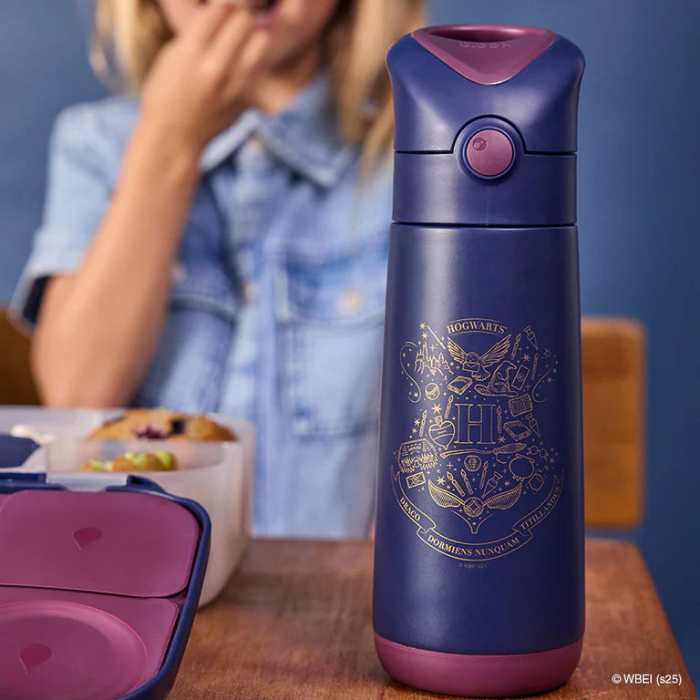 500mL Insulated Drink Bottle - Harry Potter