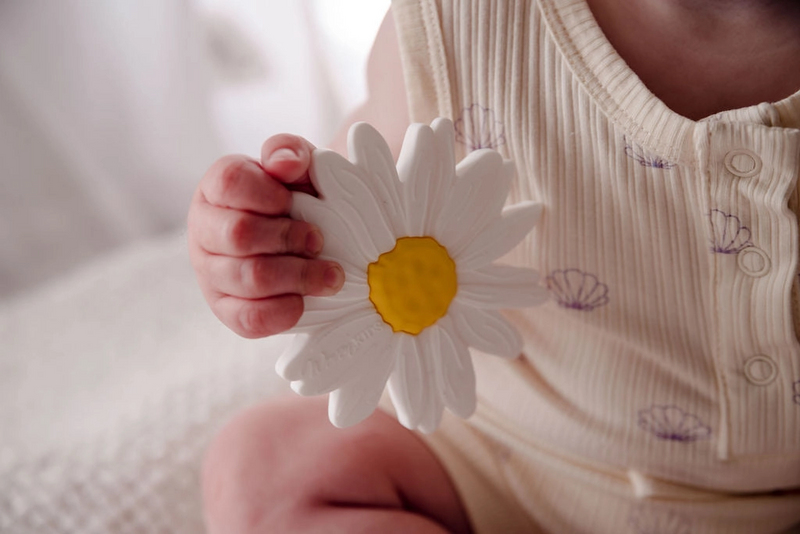 Silicone Teether - Milk Daisy