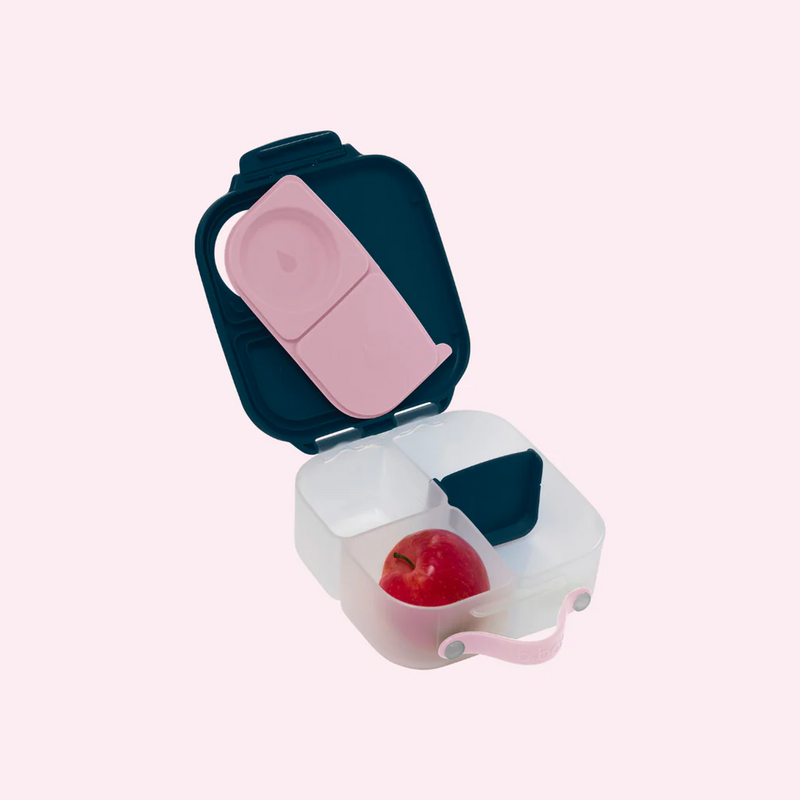 Mini Lunchbox - indigo rose