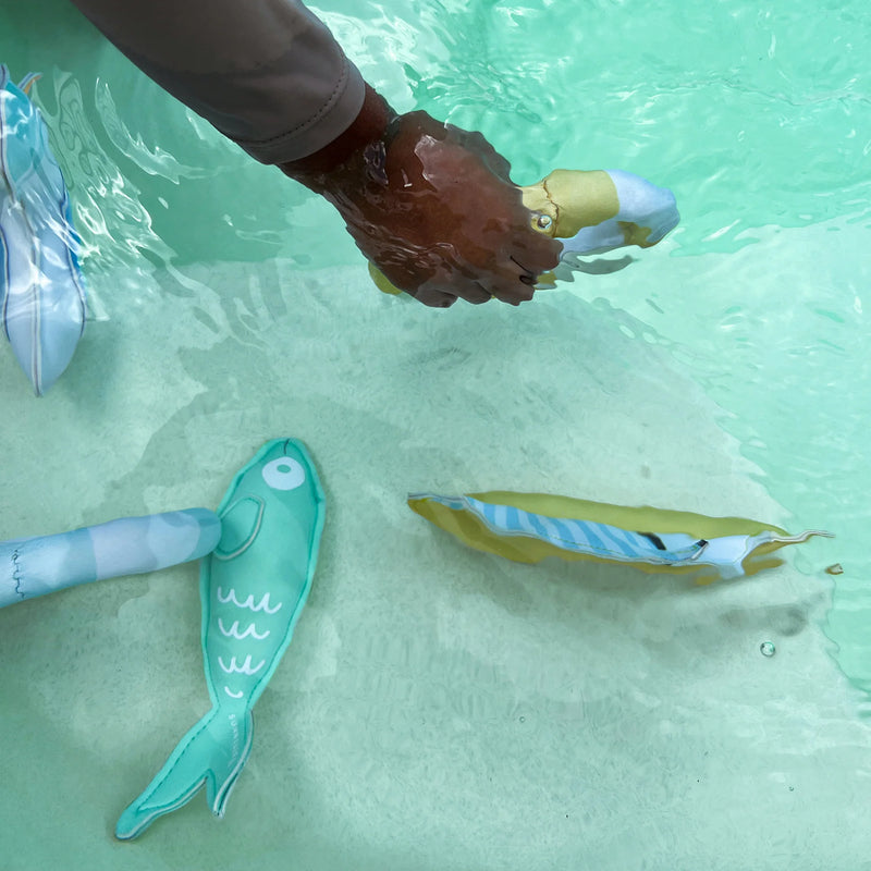 Dive Buddies Sammy the Seagull Multi Set of 6