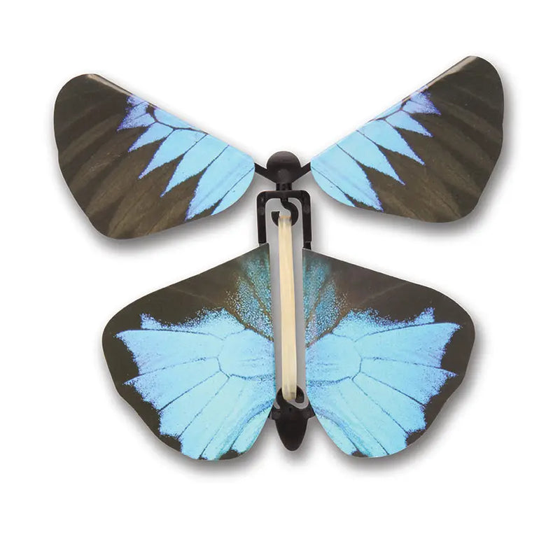 Wind Up Butterflies
