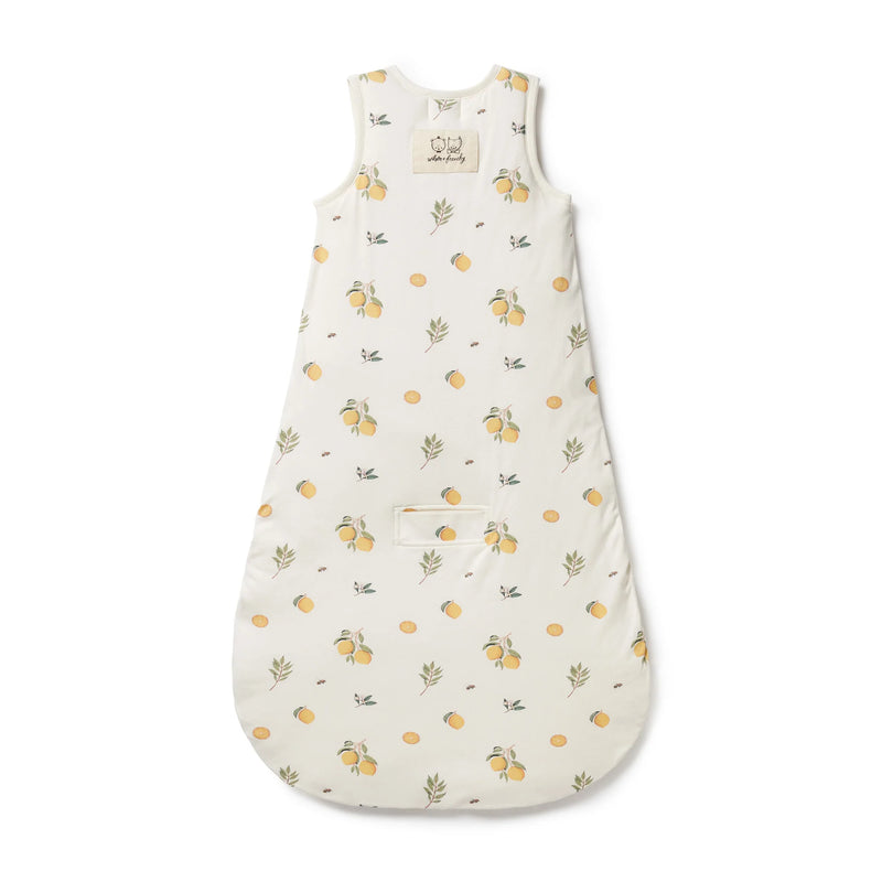 Smart Sleep Zip Up Swaddle 0-3mths 0.2TOG - Noah